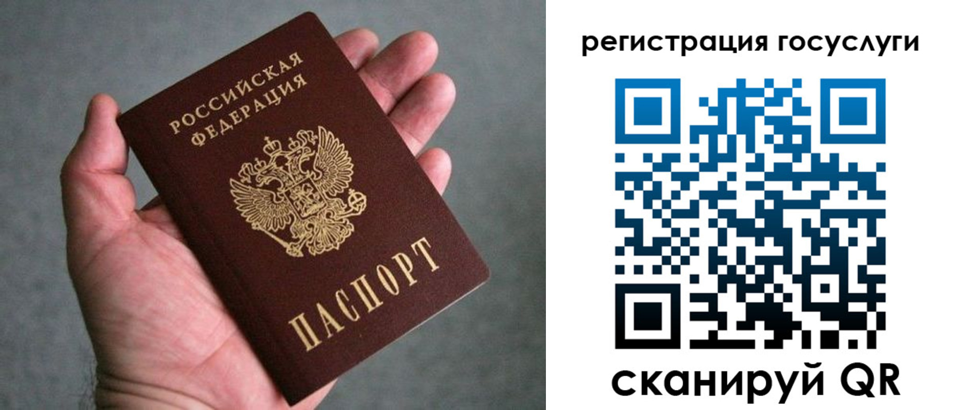 прописка поиск в Санкт-Петербурге
